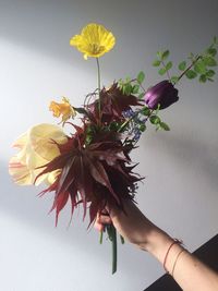 Close-up of hand holding flower