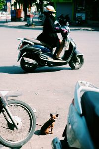 Rear view of woman sitting on car in city