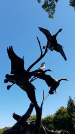 Low angle view of bird flying against clear sky