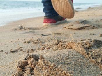 Low section of man standing on beach