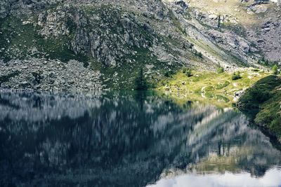 Reflection of trees in lake during winter