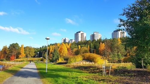 Trees in park against blue sky