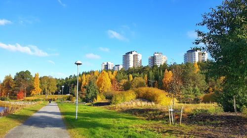 Trees in park against blue sky