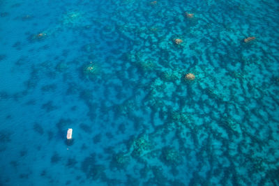 High angle view of swimming underwater