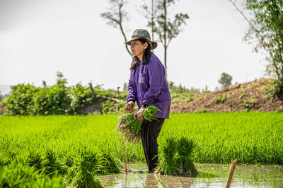 Full length of woman working in farm