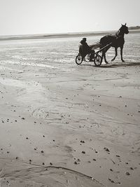 Man riding horse on beach against sky