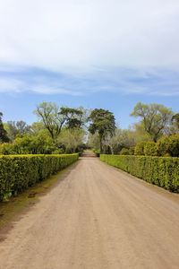 Empty road along trees and plants against sky