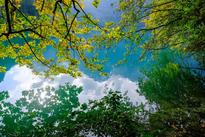 Reflection of trees in lake against sky