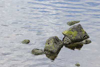 High angle view of rocks on shore