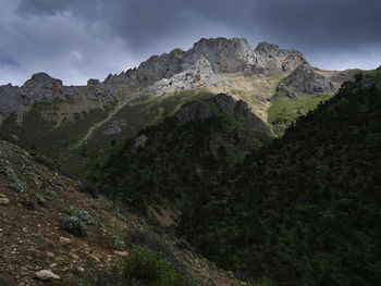 mountain