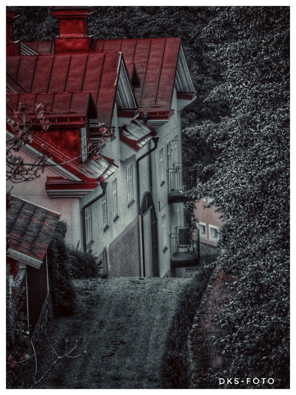 STREET AMIDST HOUSES IN TOWN