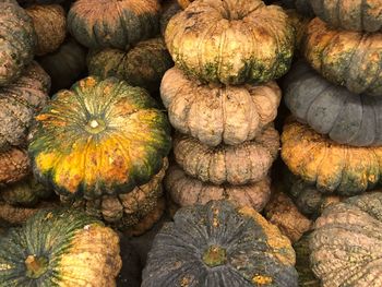 Full frame shot of pumpkins for sale