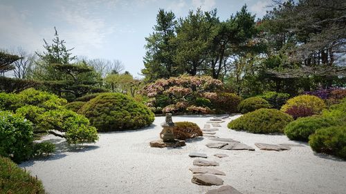 Scenic view of japanese garden in chicago botanic gardens