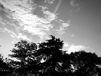 Low angle view of silhouette trees against sky