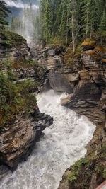 Scenic view of waterfall in forest