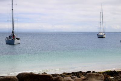 Sailboat sailing on sea against sky