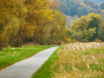 Man walking on road in forest