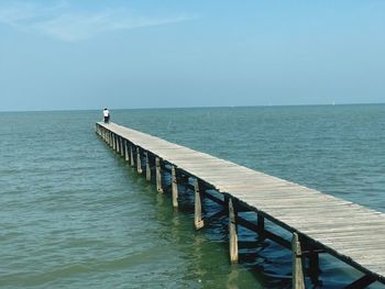 Rear view of man on sea against clear sky