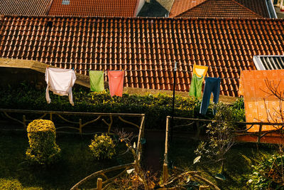 High angle view of potted plant outside house