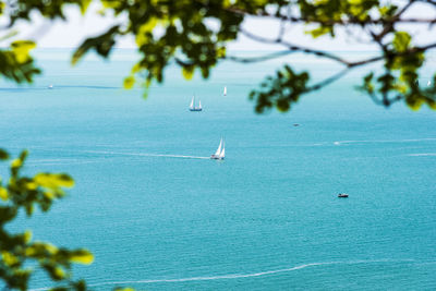 Gulf of trieste. high cliffs between boats, karst rocks and ancient castles. duino. italy