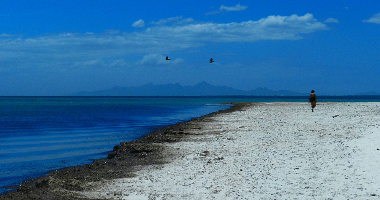 sea, water, horizon over water, sky, blue, scenics, tranquil scene, tranquility, beach, beauty in nature, men, nature, full length, lifestyles, shore, leisure activity, walking, cloud