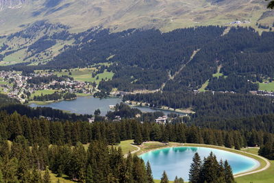 High angle view of lake and trees in forest