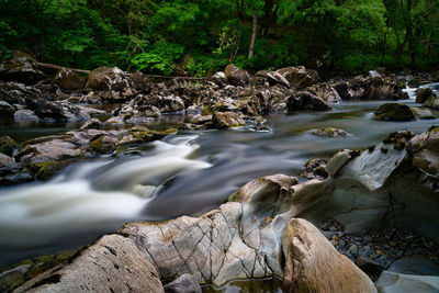 Stream flowing through rocks in forest