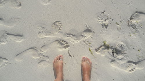 Low section of person at beach