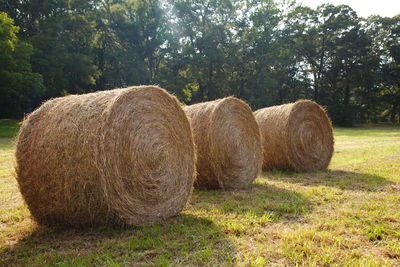 Hay bales on field