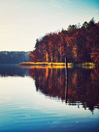 Scenic view of lake by trees against sky