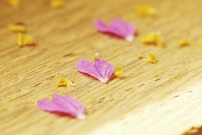 Close-up of pink rose on wooden table