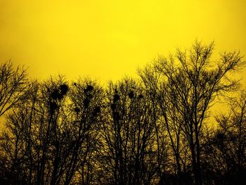 Low angle view of silhouette trees against sky during sunset