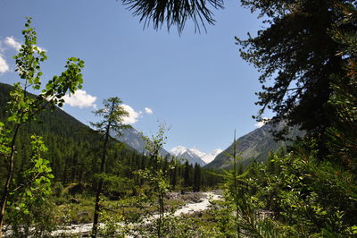 Scenic view of landscape with mountain in background