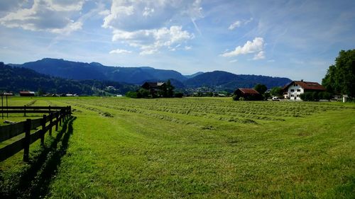 Scenic view of grassy field against cloudy sky