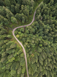 High angle drone shot of road in forest