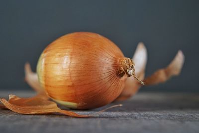 Close-up of onion