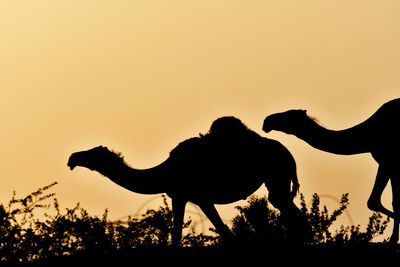 Silhouette of horse on field against sky during sunset