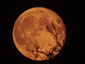Close-up view of illuminated black background