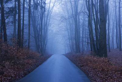 Road amidst bare trees in foggy weather