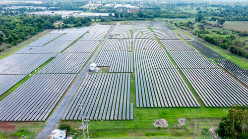 High angle view of agricultural field