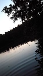 Reflection of trees in water