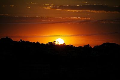 Silhouette of trees at sunset