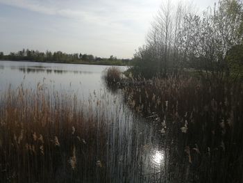 Scenic view of lake against sky