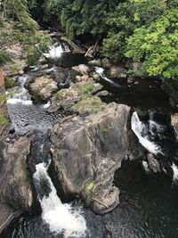 River flowing through rocks in forest