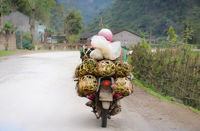 Rear view of child on road