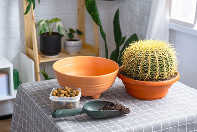 Close-up of potted plant on table