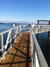 View of pier on sea against clear blue sky