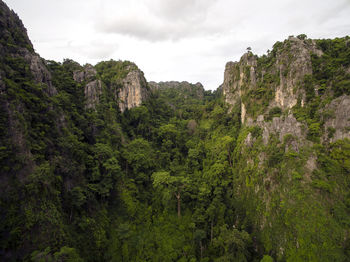 Scenic view of trees and mountains against sky