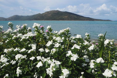 Scenic view of sea and mountains against sky