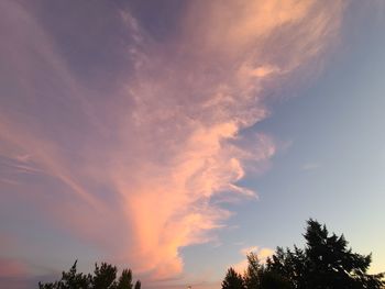 Low angle view of silhouette trees against sky during sunset
